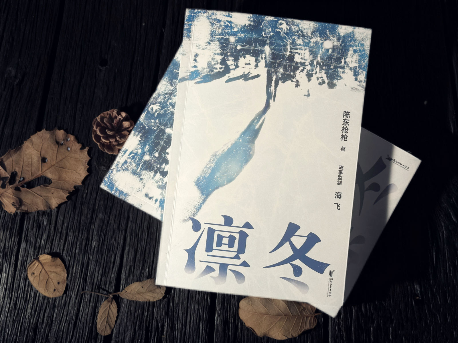 宣告黎明的爱之歌，长篇小说《凛冬》新书上市