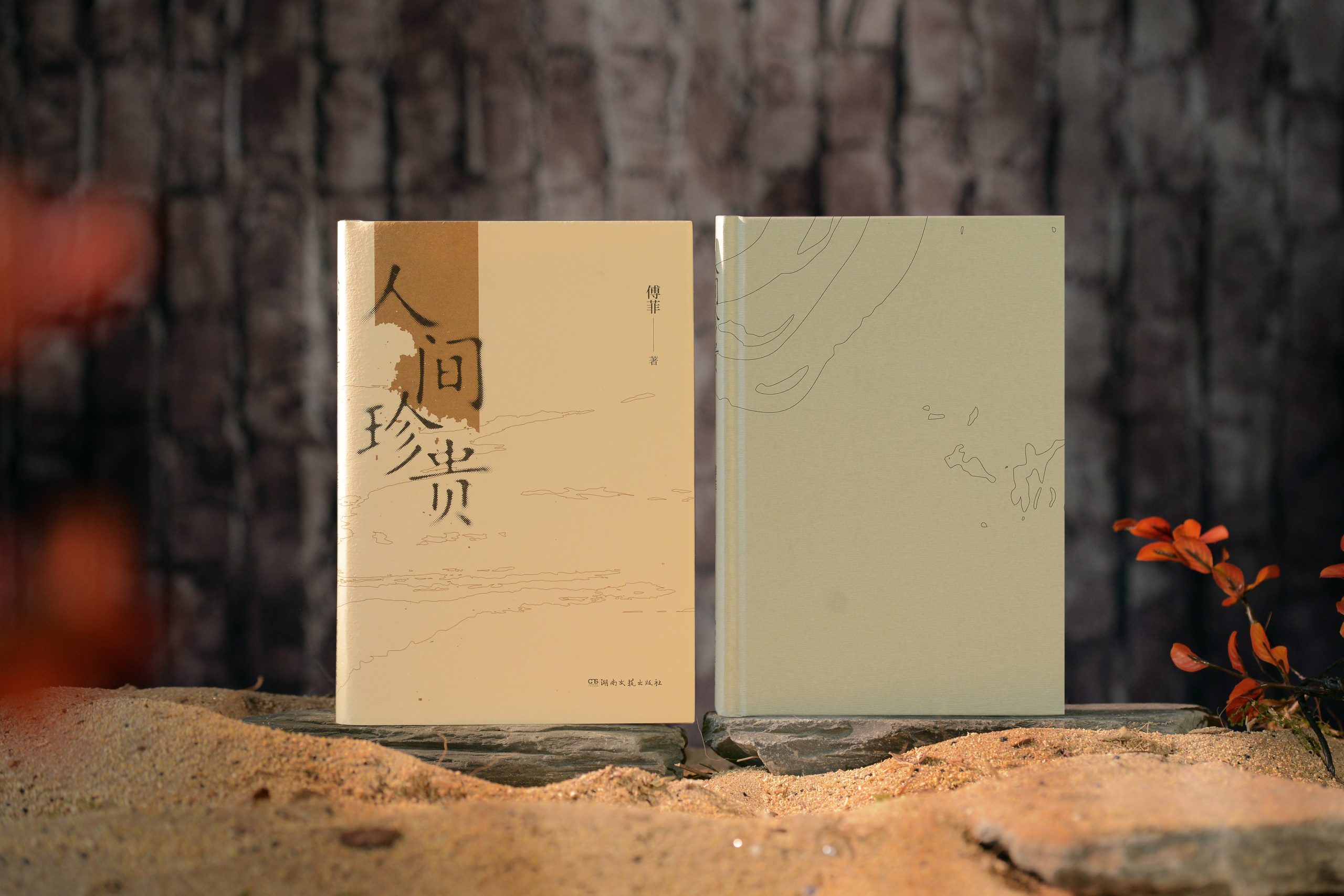 傅菲散文集《人间珍贵》研讨会在中国人民大学召开