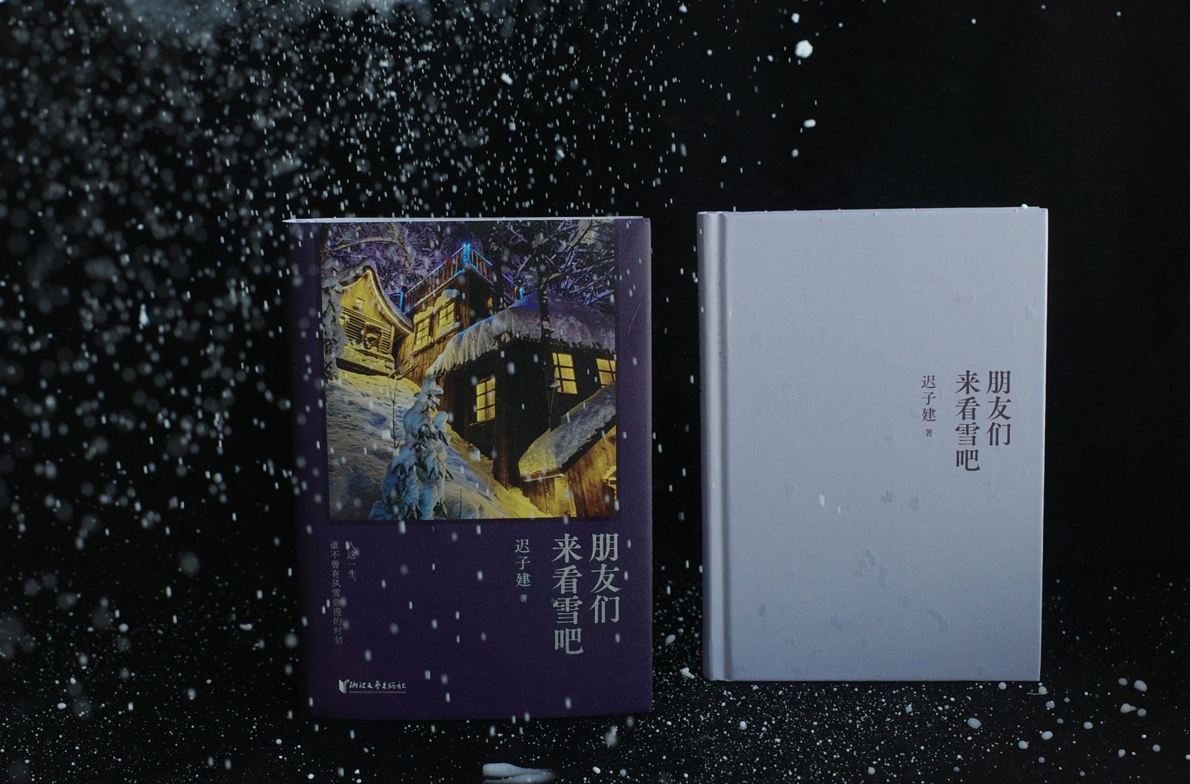 迟子建新书《朋友们来看雪吧》上市