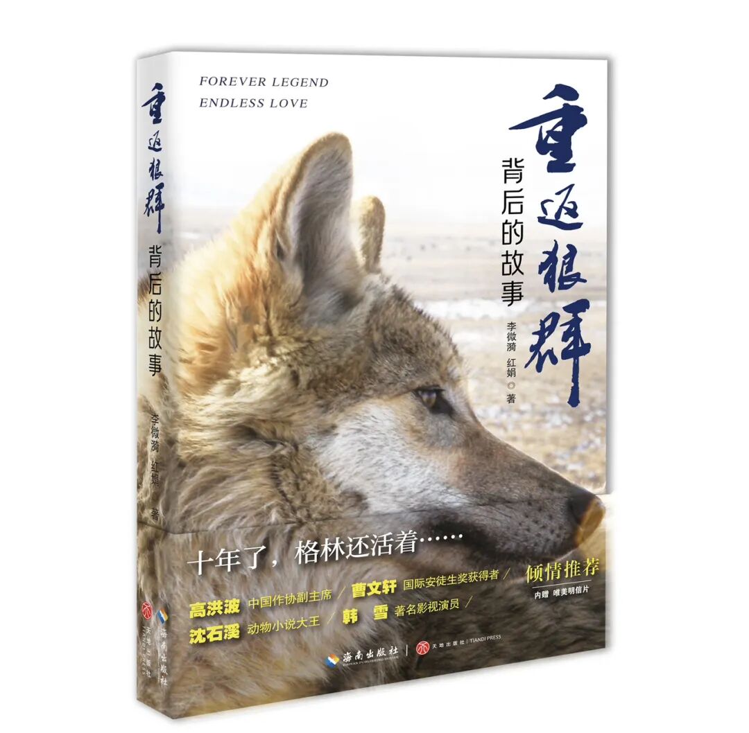 我为“狼”狂——《重返狼群背后的故事》出版缘起